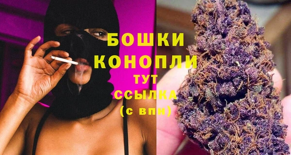 тгк Богородск