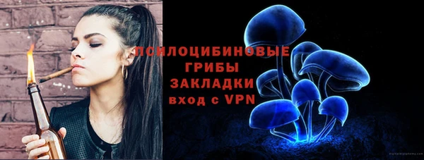 тгк Богородск