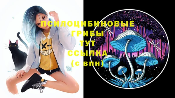 первитин Бородино