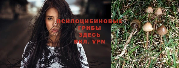 не бодяженный Богородицк