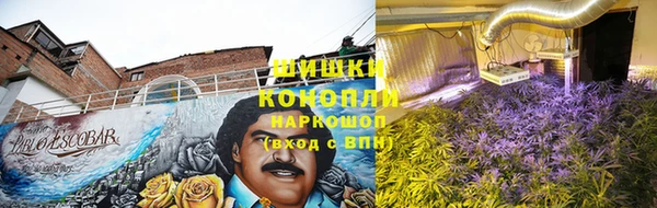гашик Бронницы