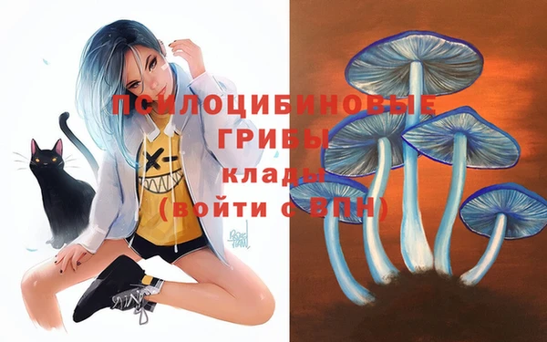 каннабис Богданович