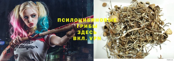 тгк Богородск