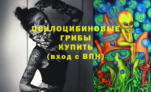 не бодяженный Богородицк